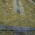 Tinting 8.jpg